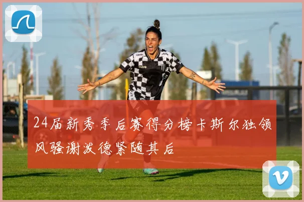 24届新秀季后赛得分榜卡斯尔独领风骚谢泼德紧随其后