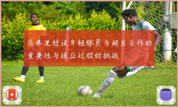 范弗里特谈年轻球员与超巨合作的重要性与适应过程的挑战